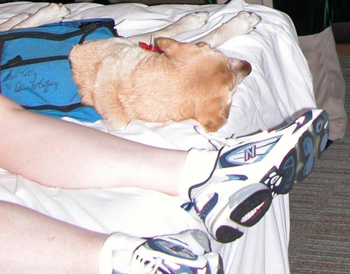 nap