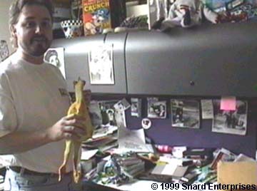 chicken ghost writer